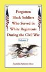 Forgotten Black Soldiers Who Served in White Regiments During the Civil War : Volume II - Book