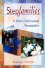 Stepfamilies : A Multi-Dimensional Perspective - Book