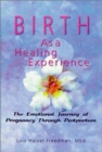 Birth as a Healing Experience : The Emotional Journey of Pregnancy through Postpartum - Book