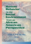 Human Behavior in the Social Environment from an African American Perspective - Book