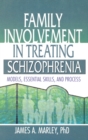Family Involvement in Treating Schizophrenia : Models, Essential Skills, and Process - Book