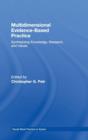 Multidimensional Evidence-Based Practice : Synthesizing Knowledge, Research, and Values - Book