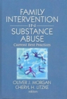 Family Interventions in Substance Abuse : Current Best Practices - Book
