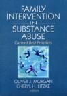 Family Interventions in Substance Abuse : Current Best Practices - Book
