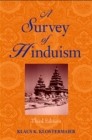A Survey of Hinduism : Third Edition - Klaus K. Klostermaier
