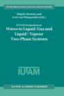 IUTAM Symposium on Waves in Liquid/Gas and Liquid/Vapour Two-Phase Systems : Proceedings of the IUTAM Symposium held in Kyoto, Japan, 9-13 May 1994 - Book