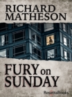 Fury on Sunday - eBook