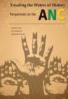 Treading the Waters of History. Perspectives on the ANC - Book
