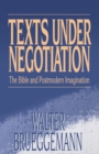 Texts under Negotiation : The Bible and Postmodern Imagination - Book