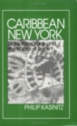 Caribbean New York : Black Immigrants and the Politics of Race - Book