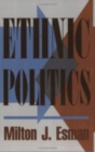 Ethnic Politics - Book
