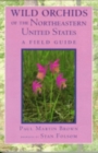 Wild Orchids of the Northeastern United States : A Field Guide - Book