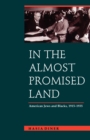 In the Almost Promised Land : American Jews and Blacks, 1915-1935 - Book