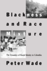 Blackness and Race Mixture : The Dynamics of Racial Identity in Colombia - Book