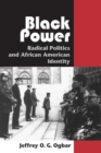 Black Power : Radical Politics and African American Identity - Book