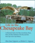 Life in the Chesapeake Bay - Book