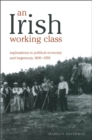 An Irish Working Class : Explorations in Political Economy and Hegemony, 1800-1950 - Book