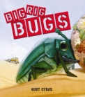 Big Rig Bugs - Book