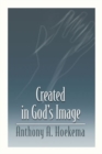 Created in God's Image - Book