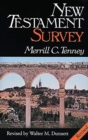 New Testament Survey - Book