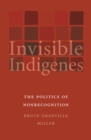 Invisible Indigenes : The Politics of Nonrecognition - eBook