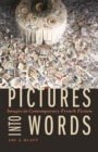 Pictures into Words : Images in Contemporary French Fiction - Book