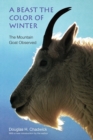 A Beast the Color of Winter : The Mountain Goat Observed - Book