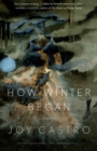 How Winter Began : Stories - Book