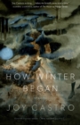 How Winter Began : Stories - eBook