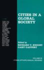 Cities in a Global Society - Book