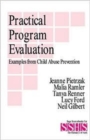 Practical Program Evaluation : Examples from Child Abuse Prevention - Book