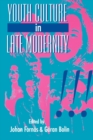 Youth Culture in Late Modernity - Book