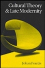 Cultural Theory and Late Modernity - Book