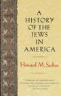 History of the Jews in America - eBook