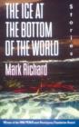 Ice at the Bottom of the World - eBook