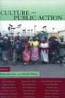 Culture and Public Action - Book