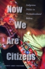 Now We Are Citizens : Indigenous Politics in Postmulticultural Bolivia - Book