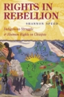 Rights in Rebellion : Indigenous Struggle and Human Rights in Chiapas - Book