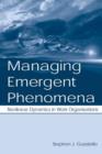 Managing Emergent Phenomena : Nonlinear Dynamics in Work Organizations - Book