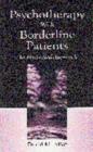 Psychotherapy With Borderline Patients : An Integrated Approach - Book