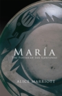 Maria : The Potter of San Ildefonso - Book