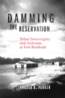 Damming the Reservation Volume 23 : Tribal Sovereignty and Activism at Fort Berthold - Book