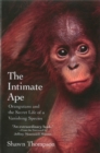 The Intimate Ape : Orangutans amd the Secret Life of a Vanishing Species - Book