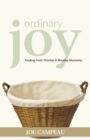 Ordinary Joy : Finding Fresh Promise in Routine Moments - Book