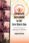 A Surprised Queenhood in the New Black Sun : The Life & Legacy of Gwendolyn Brooks - Book