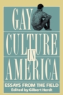 Gay Culture in America : Essays from the Field - Book