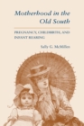 Motherhood in the Old South : Pregnancy, Childbirth, and Infant Rearing - Book