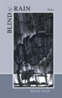 Blind Rain : Poems - Book