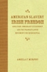 American Slavery, Irish Freedom : Abolition, Immigrant Citizenship, and the Transatlantic Movement for Irish Repeal - Book