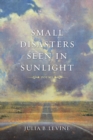 Small Disasters Seen in Sunlight : Poems - eBook